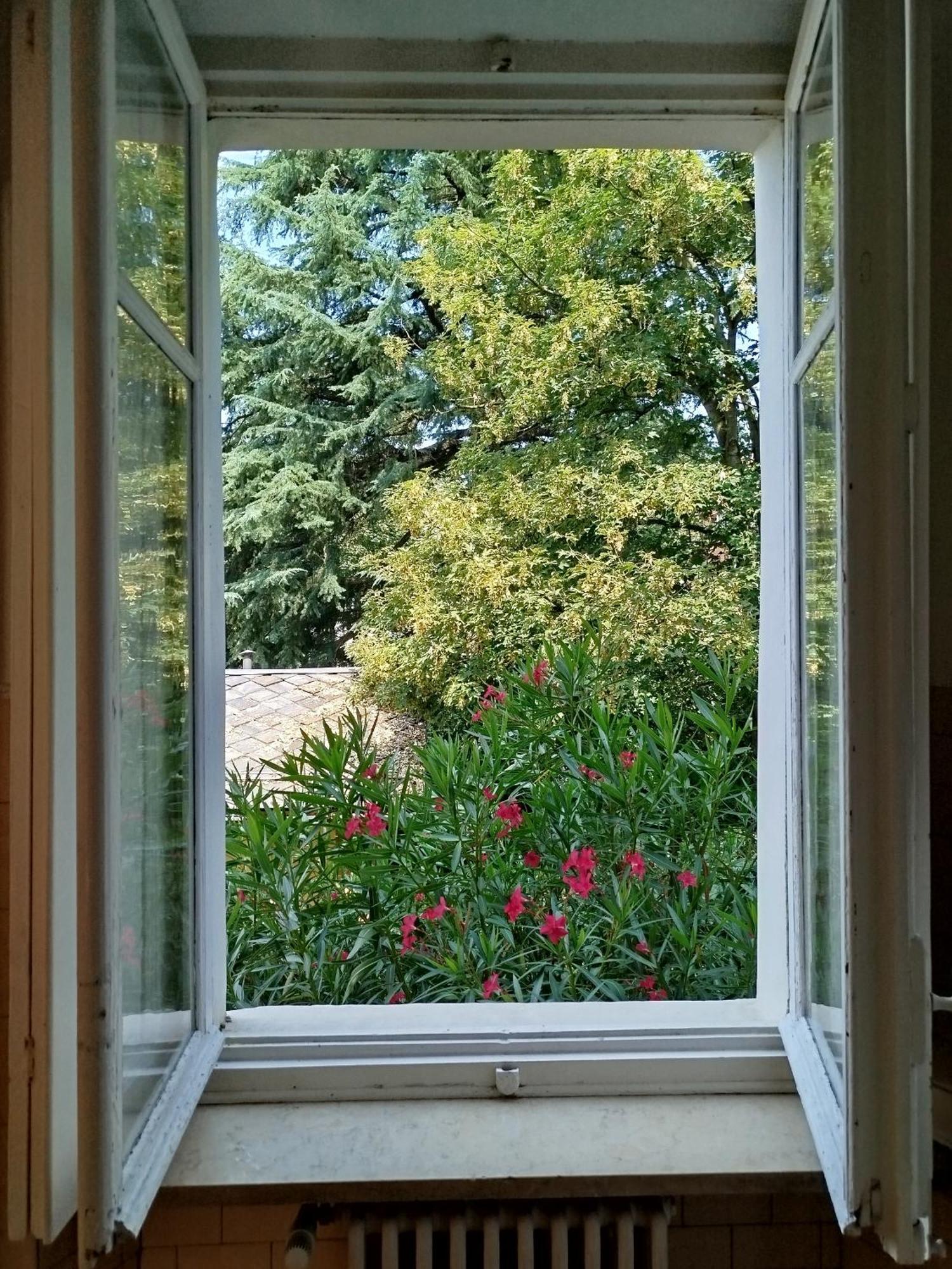 טורינו Del Nobile Apartment מראה חיצוני תמונה